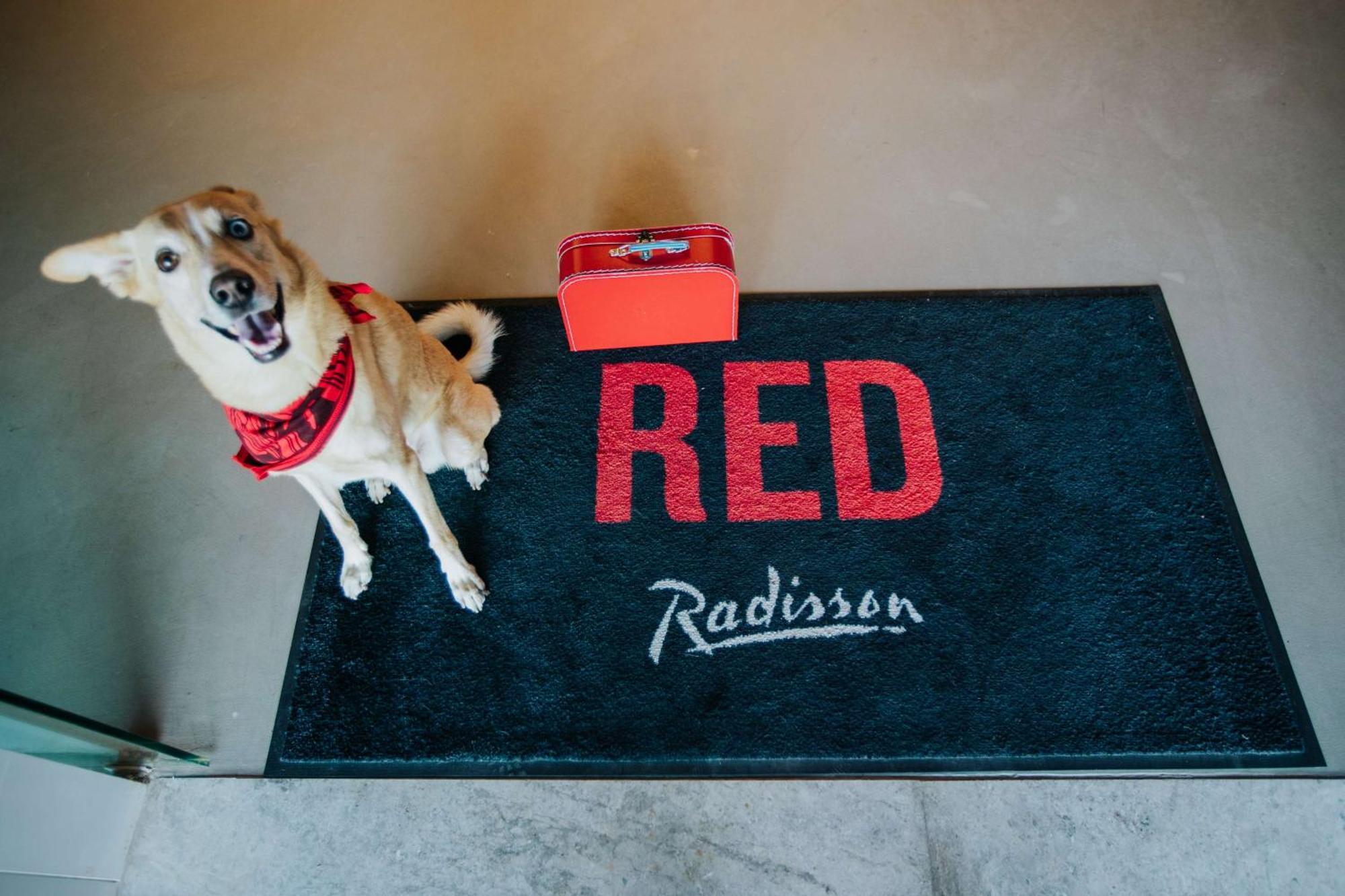 Radisson Red Hotel & Radisson Red Apartments, クラクフ エクステリア 写真